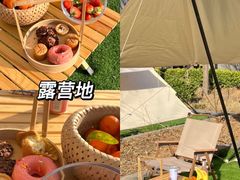 -禅宗少林·音乐大典