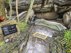 -海口观澜湖火山温泉谷