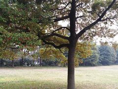 -春兰国宾馆(凤城河风景区老街店)