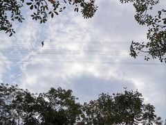 -呀诺达热带雨林