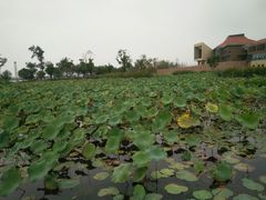 -滆湖低碳生态公园
