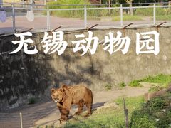 -无锡动物园·太湖欢乐园
