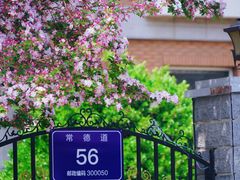 -天津五大道文化旅游区
