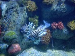 -左海海底世界