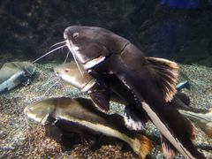 -太平洋海底世界