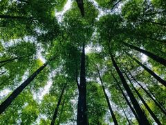 -山王坪喀斯特国家生态公园