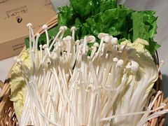 -同仁四季椰子鸡(福田东园总店)