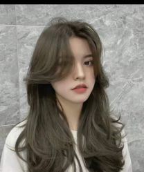 -环球蝶上美业连锁