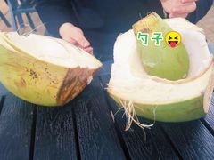 -万绿园