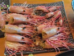 -月龍吟(朝龙汇店)