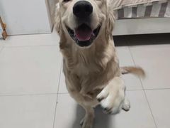-圣宠动物医院·犬猫专科·影像中心·外科中心