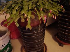 -中关村生命科学园