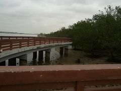 -宝安西湾红树林湿地公园