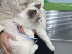 -心仪动物医院·牙专科·肿瘤·心脏科(西客站院)