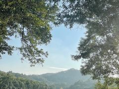 -番禺大夫山森林公园