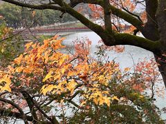 -溪口-滕头旅游景区