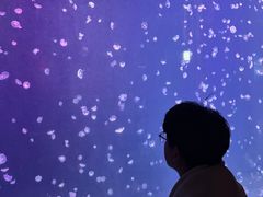 -太平洋海底世界