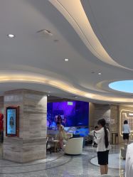 -北京新星靓医美