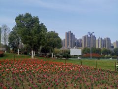 -滨湖塘西河公园