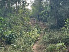-青龙山国家森林公园