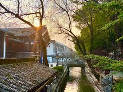 -绍兴鲁迅故里·沈园景区