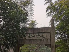 -紫金山山顶公园