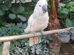 -南宫五洲植物乐园