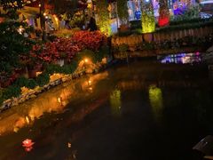 -小厨子私房菜·云南美食店