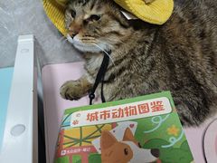 -瑞虹新天地月亮湾