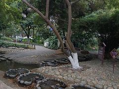 -成都市活水公园