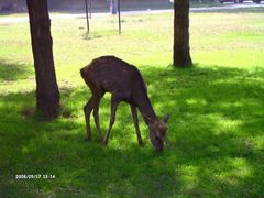 赛汗塔拉生态园&nbsp;(14)-赛汗塔拉风情园