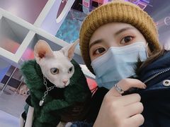 -极木²邸 人与宠物·互动社区
