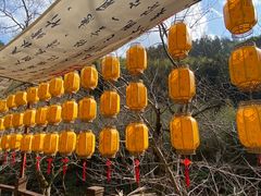 -石台牯牛降景区