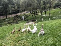 -北京宽沟会议中心