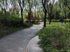 -北极寺公园