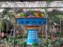 -南宫五洲植物乐园