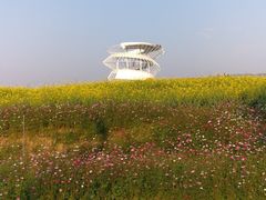 -光明小镇欢乐田园