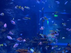 -海合安成都极地海洋公园