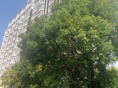 -锦江饭店锦北楼-锦江厅