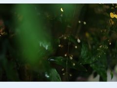 -行人小筑·茶馆(岑村火炉山分店)