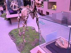 -陕西自然博物馆