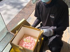 -BLACKSWAN黑天鹅(环球店)