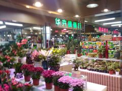 -大自然花鸟鱼虫市场