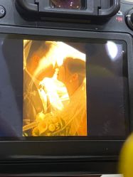 点击看大图 -青禾蒙娜丽莎婚纱摄影(武汉总店)