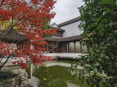 -秋霞圃