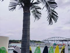 -小麦岛公园