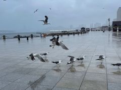 -星海广场