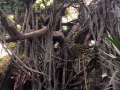 -龙达温泉生态城
