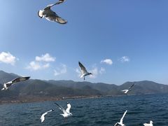 -丽江泸沽湖景区