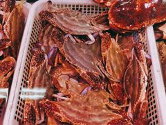 -锦绣大地生鲜食品厅(巨山路店)